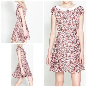 Zara Trafaluc Peter Pan Collar Flora Dress